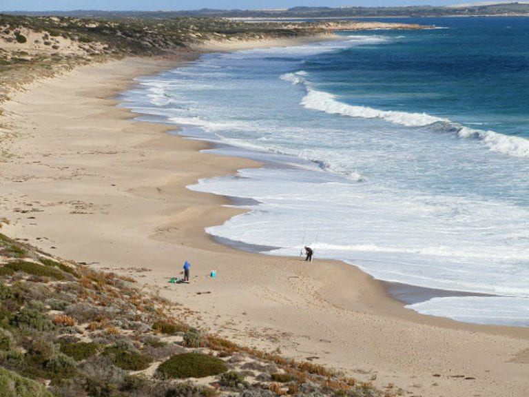 Daly Head 86 768x576
