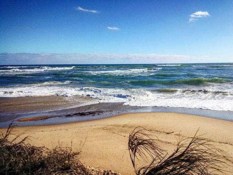 Dongara Beach South 86 768x576