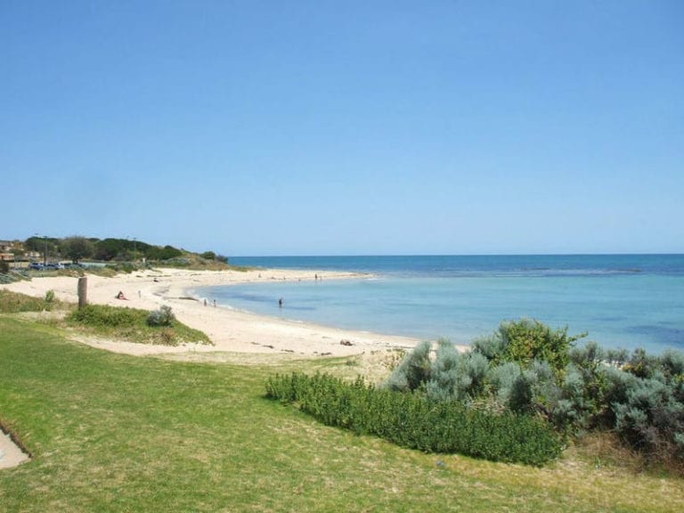 Falcon Beach 86 768x576