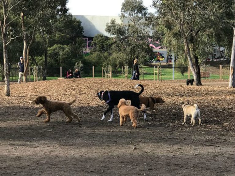 Gilpin Park 86 768x576