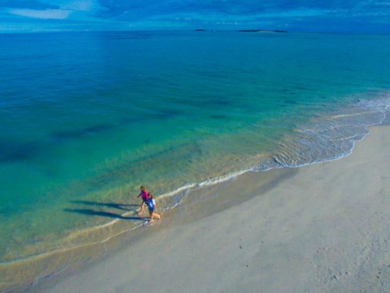 Green Head 86 768x576