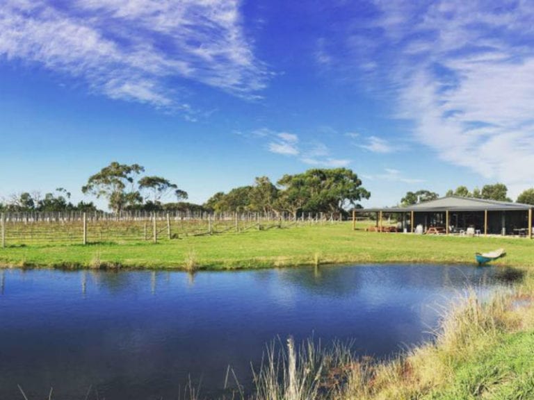 Harman Wines Dog Friendly Winery 1 86 768x576