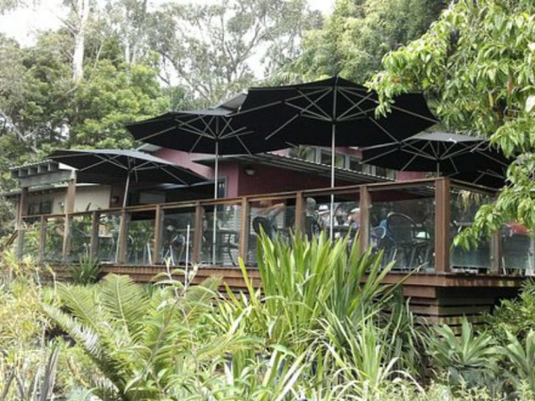 Impact Plants 1 86 768x576