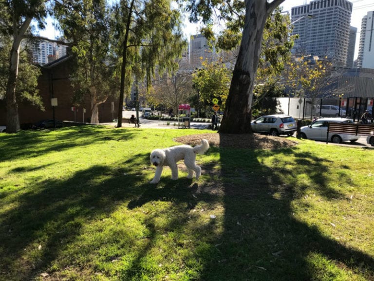 James hilder reserve 3 86 768x576