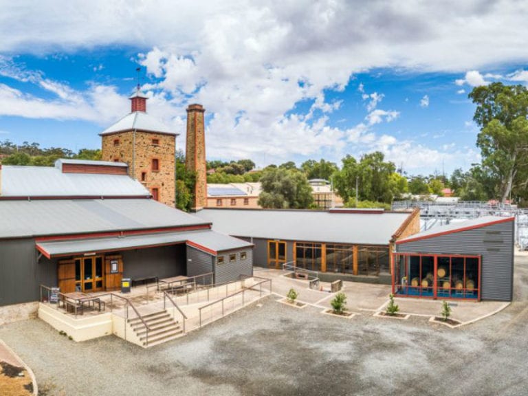 Knappstein Dog Friendly Winery 1 86 768x576