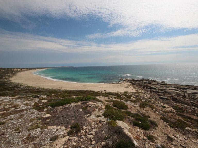 Point Annie 86 768x576