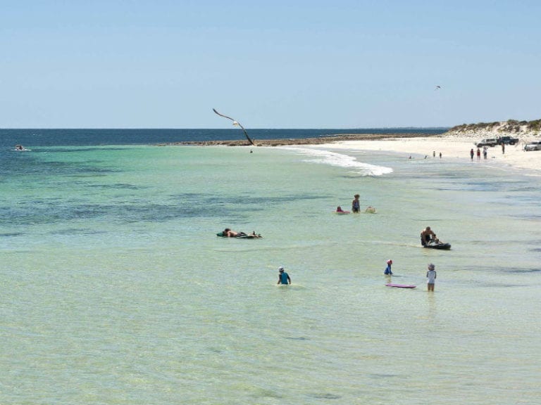 Port Rickaby 86 768x576