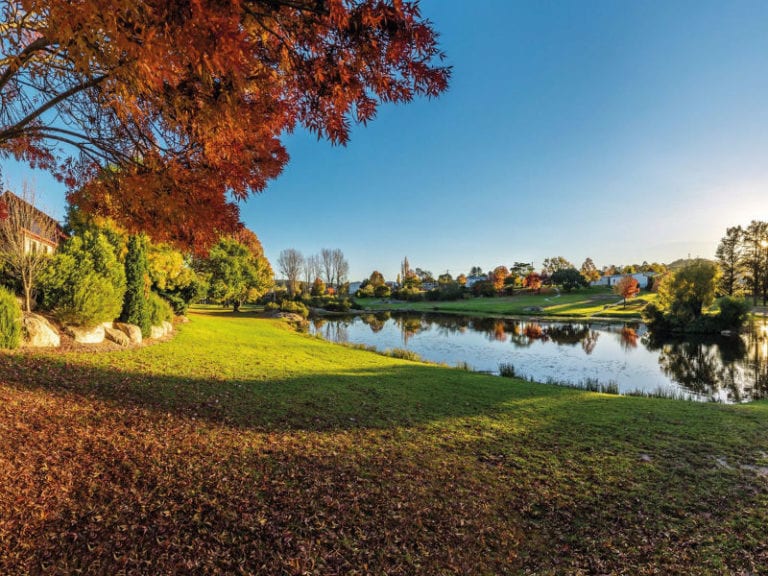 Quart Pot Creek 1 86 768x576