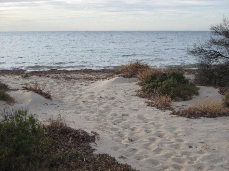 Rogues Point 86 768x576