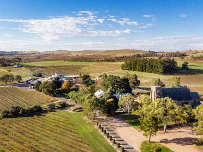 Sevenhill Cellars Dog Friendly Winery 1 86 768x576