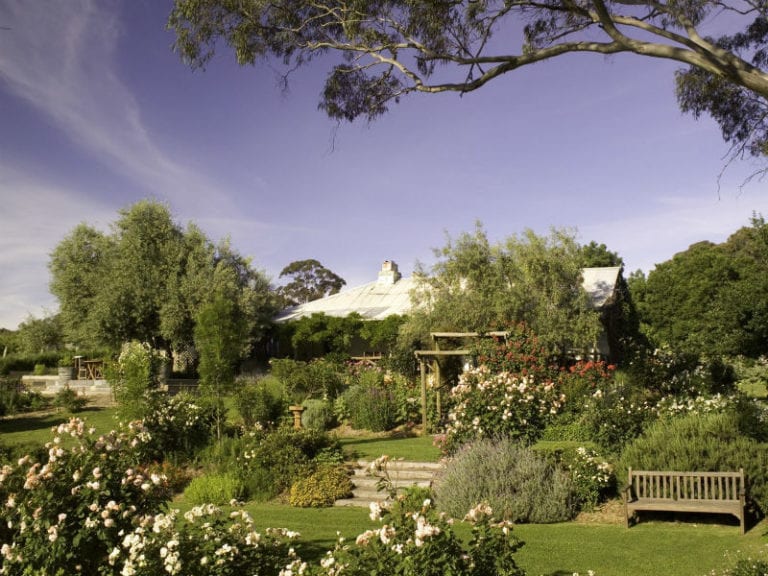 Skillogalee 2 86 768x576