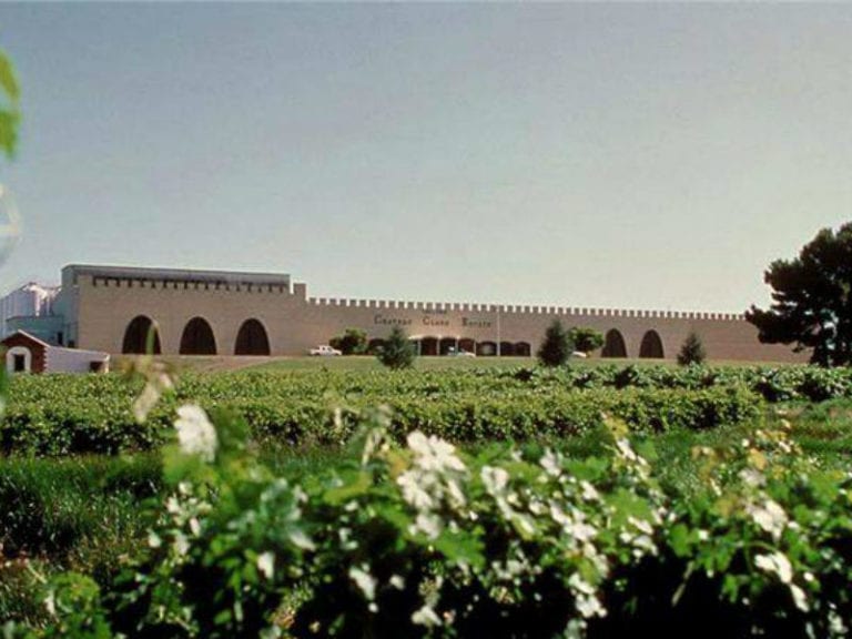 Taylors Dog Friendly Winery 1 86 768x576