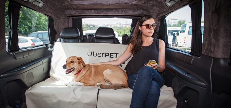 Uber Pet – Pet friendly rides