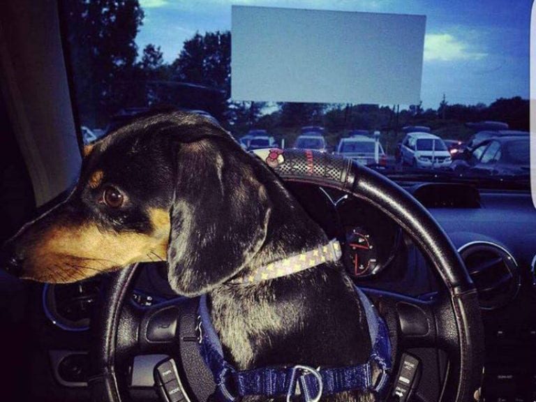 Yatala Drive In 4 86 768x576