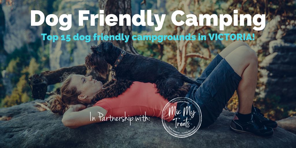 dog-friendly-camping-victoria-mixmytreats