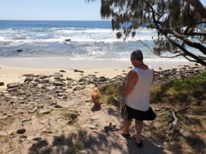 point cartright 2 300x225