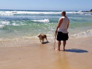 point cartright 3 300x225