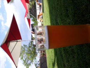 20190116 175909 300x225