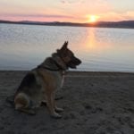 dsleystuart@gmail.com