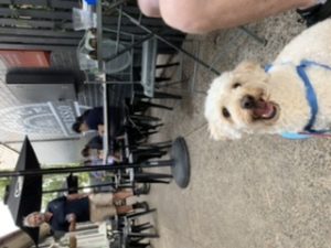 4EA82B05 C2B1 4004 9F58 8BB9927FF474 300x225