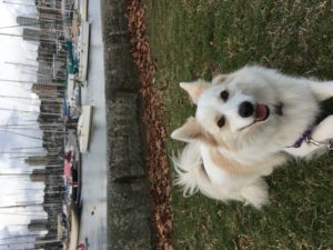 A3AE484F 3DA1 4E38 9745 8CCE0D36CB82 300x225