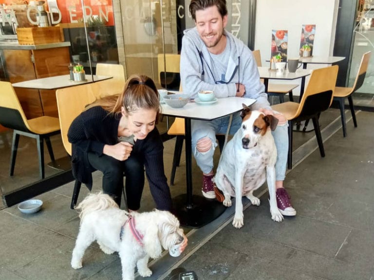 Academy Cafe 768x576