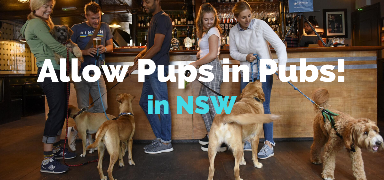 Allow dogs into pubs in NSW
