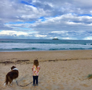 BAA71EE4 6F65 450C AE63 CA20E09F5BE7 300x296