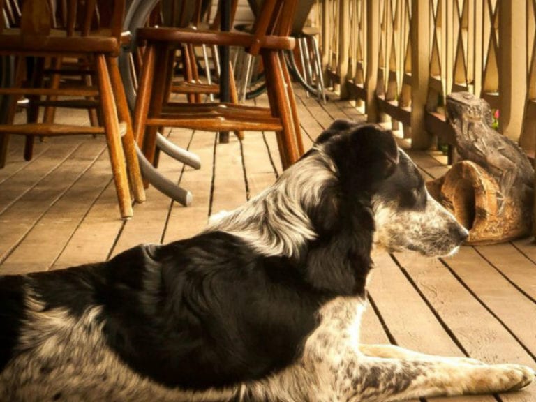 Bestbrook Mountain 1 86 768x576