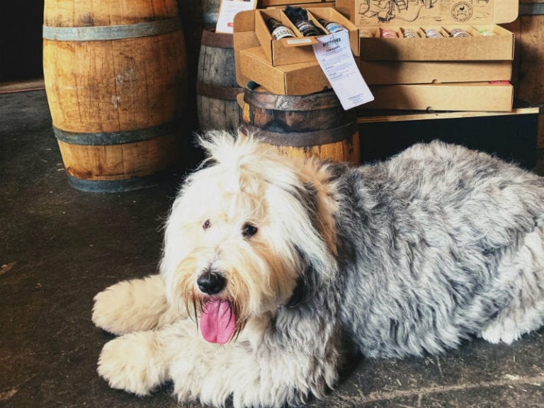 Boatrockers 2 86 768x576