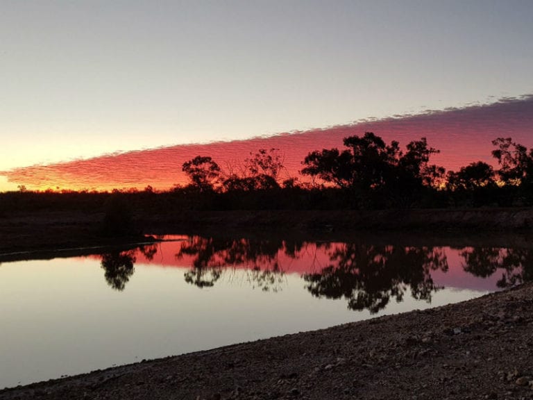 Bonus Downs 1 86 768x576