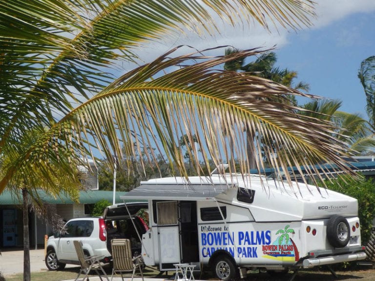 Bowen Palms 86 768x576