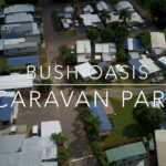 Bush Oasis 2 86 150x150