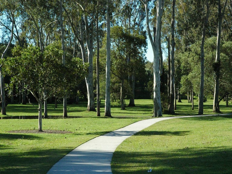 Capalaba Regional Park 3 86 768x576