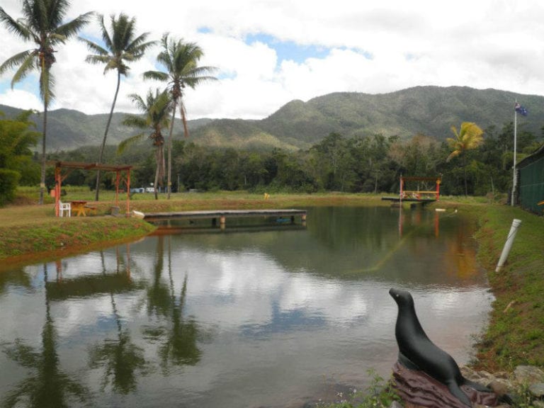 Catch a Barra 86 768x576