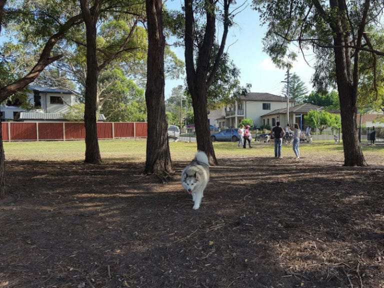 Craig Street Reserve 86 768x576