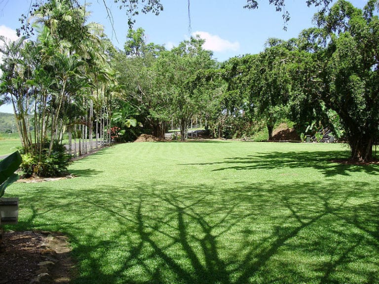 Daintree Riverview 86 768x576