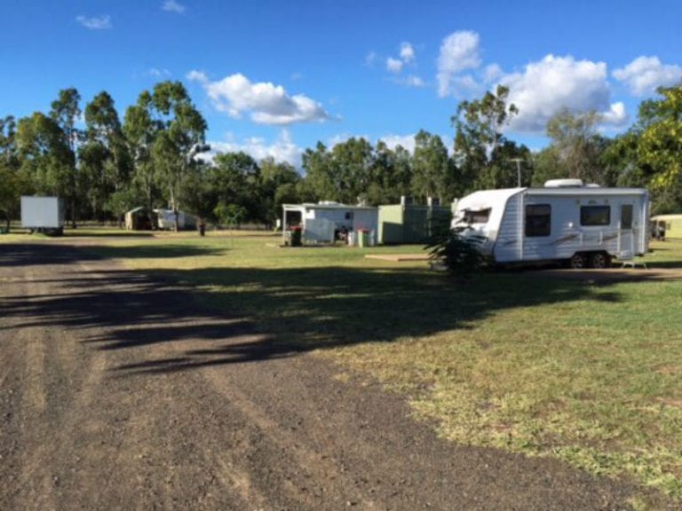 Dingo Van 86 768x576