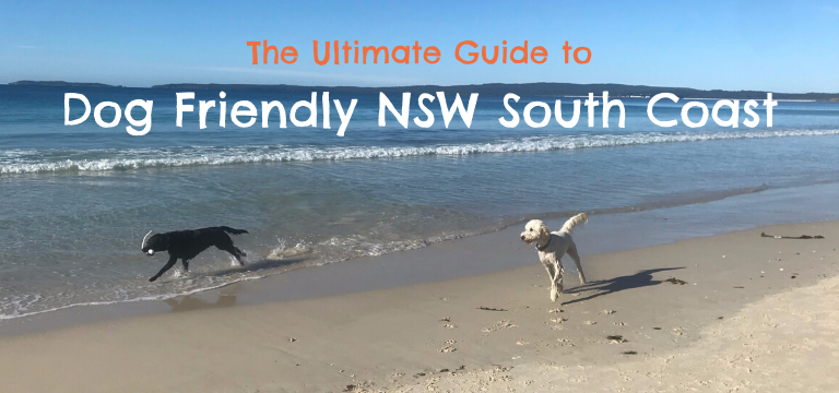Dog-Friendly-NSW-South-Coast