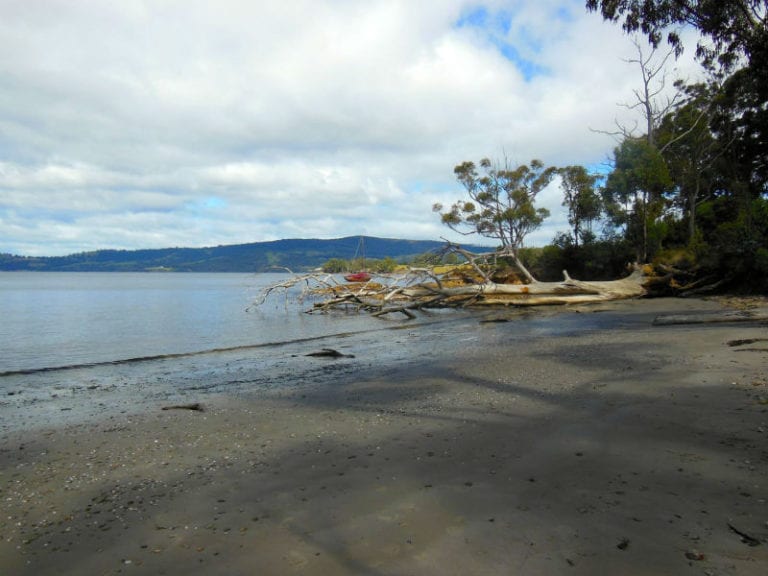 Drip Beach 86 768x576