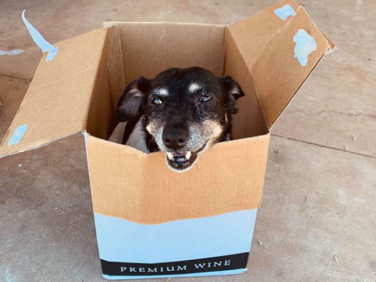 False Cape Wines 1 86 768x576