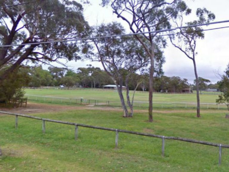 Frenchs Forest Showground 86 768x576