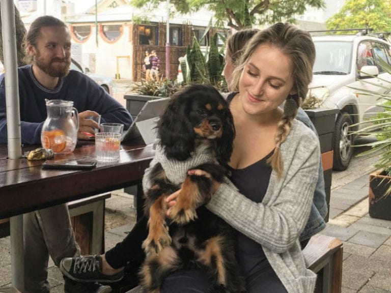 Frisk Small Bar 768x576