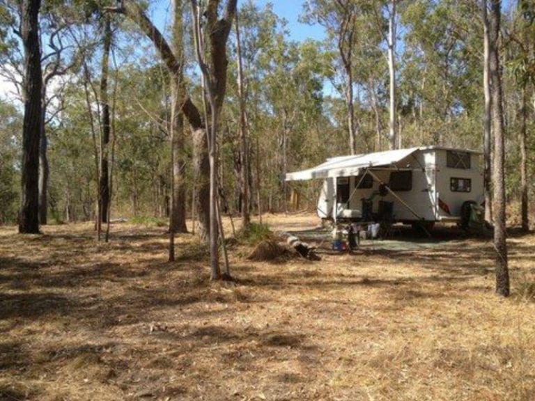 Greg Debs 86 768x576