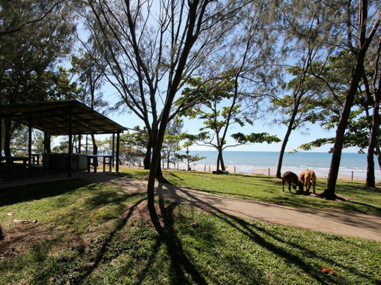 Justin Park 86 768x576