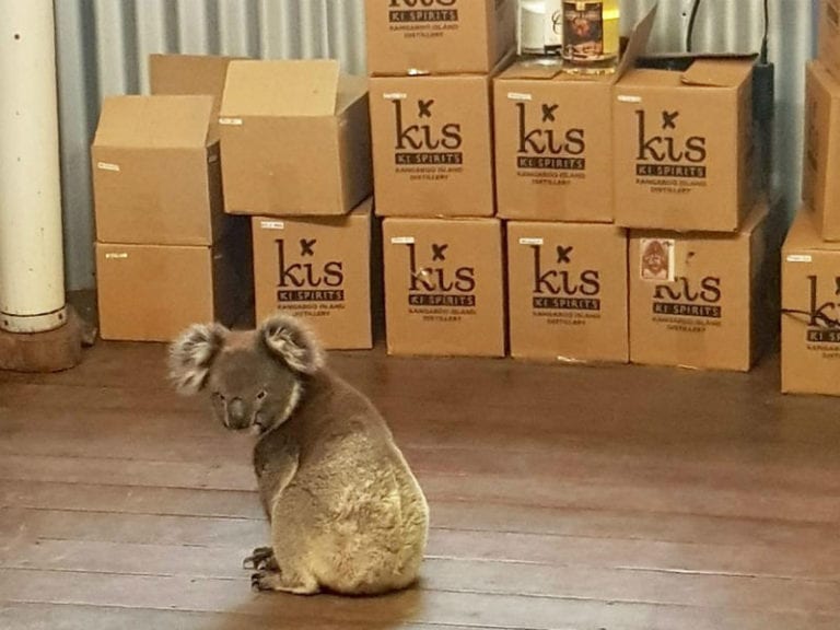 Kangaroo Island Spirits 768x576