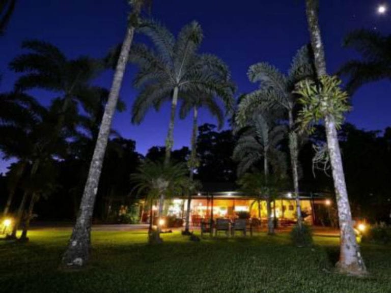 Lync Haven Rainforest Retreat 86 768x576