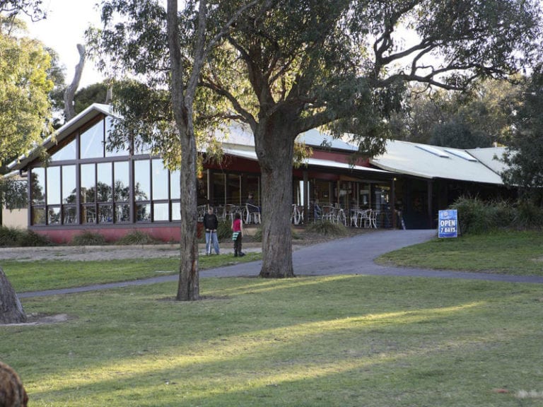 MAdelines 2 86 768x576