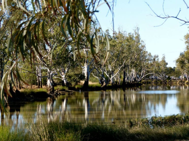 Meandarra Brigalow Creek Campground 86 768x576