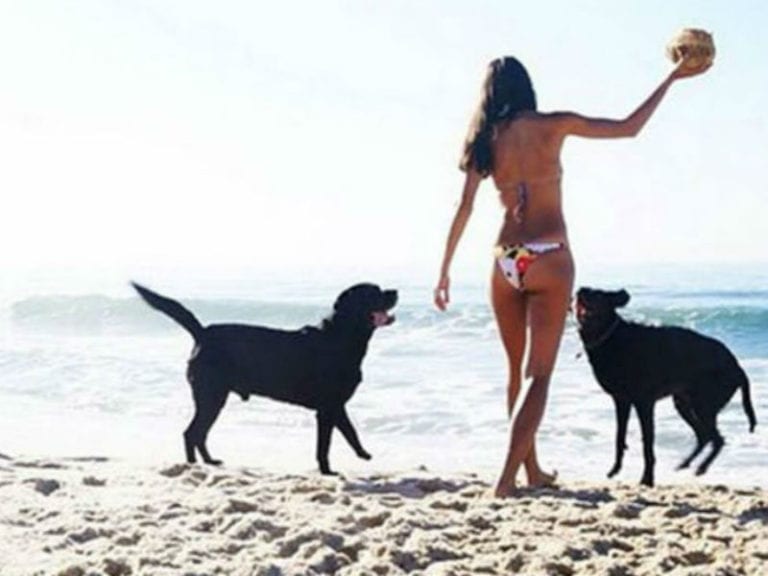 Noosa Spit 3 768x576